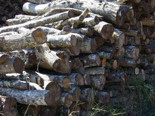 BOIS DE CHAUFFAGE – CHARME  – LONGUEUR 2M