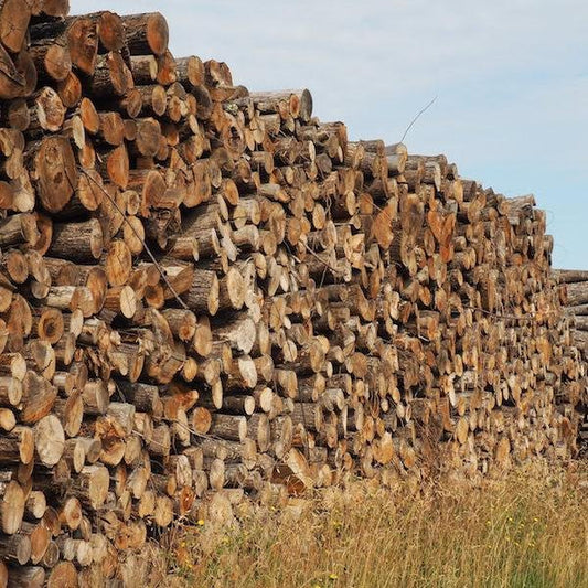 BOIS DE CHAUFFAGE – CHÂTAIGNIER – LONGUEUR 2M