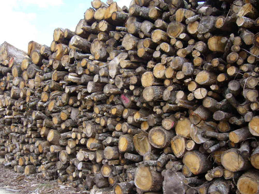 BOIS DE CHAUFFAGE –CHÊNE– LONGUEUR 2M